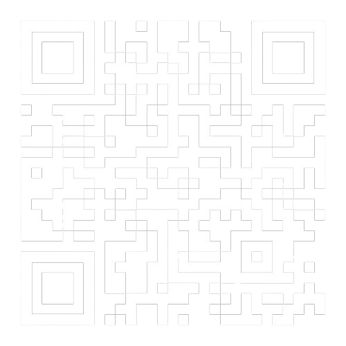 QR ViBeN