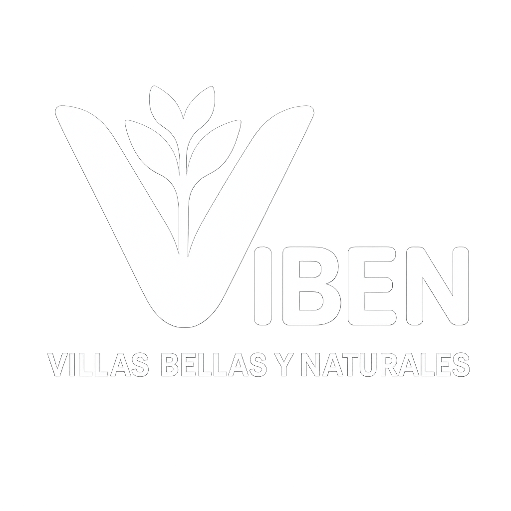 ViBeN Logo