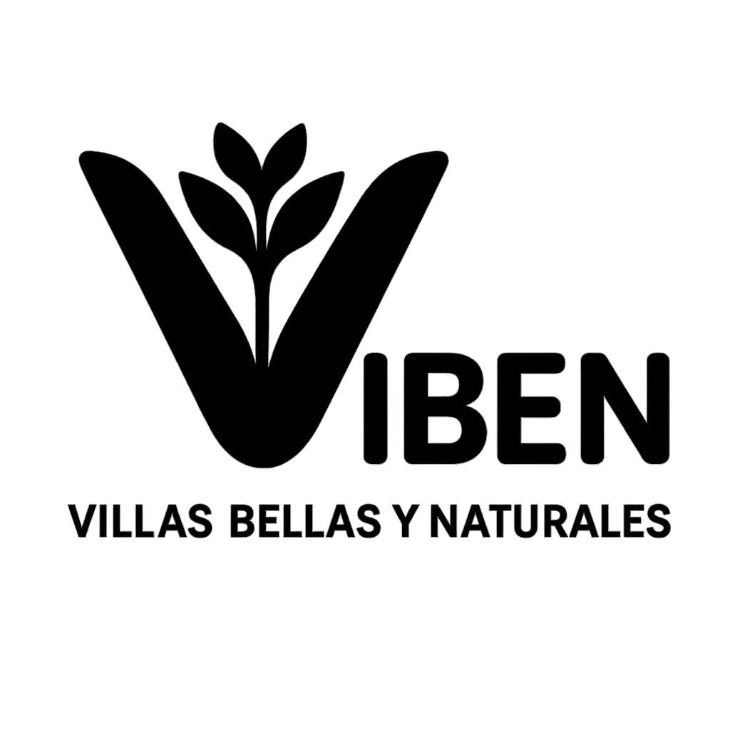ViBeN Logo